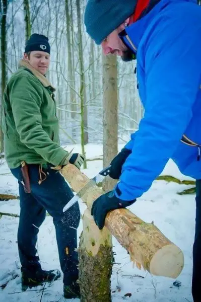 Zwei Personen im Wald, eine schneidet Holz, die andere schaut