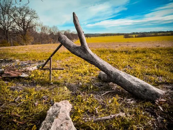Holzstück liegt auf einer Wiese mit Bäumen im Hintergrund