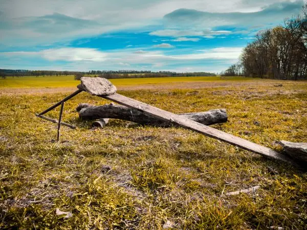 Holzstück liegt auf einer Wiese unter einem bewölkten Himmel