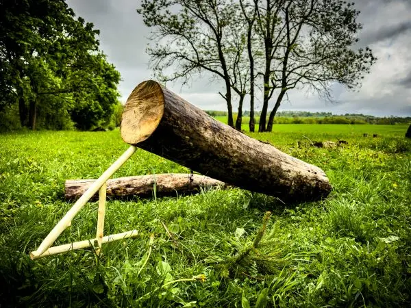Holzstück mit Stütze auf einer Wiese, Bäume im Hintergrund