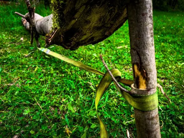 Selbstgebaute Konstruktion mit Baumstamm und Sicherungsband auf grünem Boden