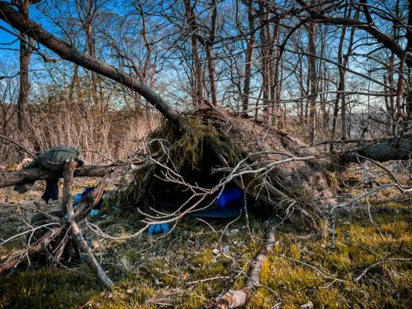 Selbstgebaute Tarp-Notunterkunft unter umgestürztem Baum mit Ästen und Gras