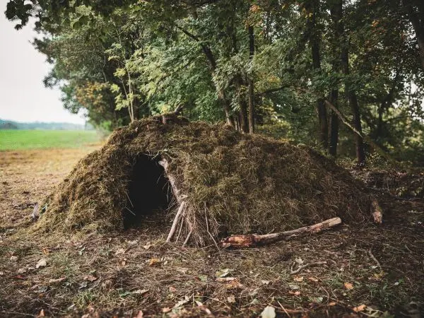 Tarp-Notunterkunft aus Ästen und Gras in einem Waldgebiet