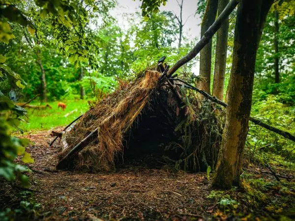 Tarp-Notunterkunft aus Ästen und Laub im Wald