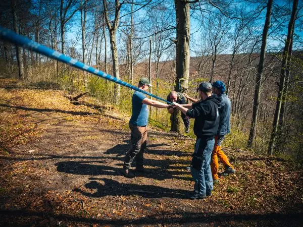 Vier Personen halten ein Seil in einem Waldgebiet