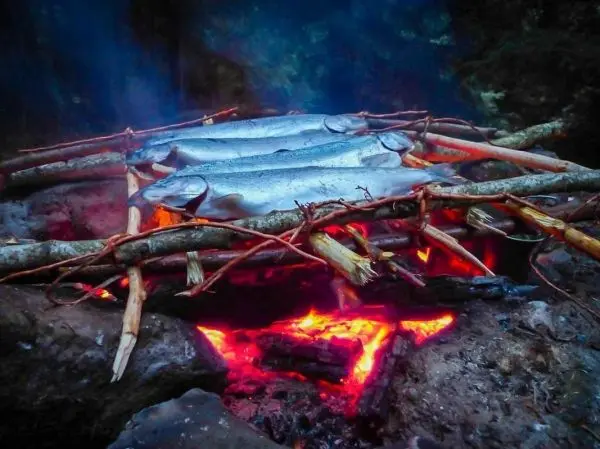 Fische liegen auf einem Holzgestell über einem Feuer