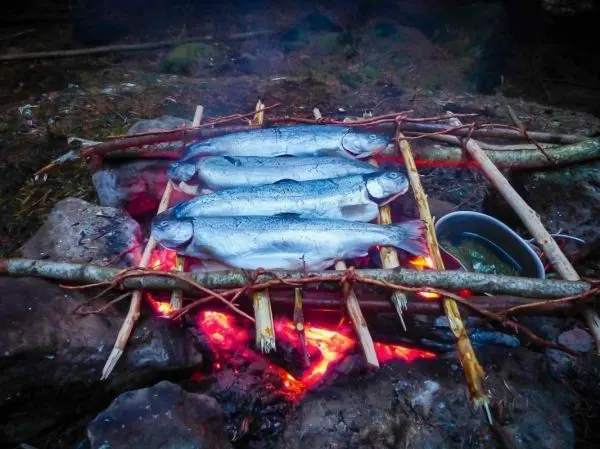 Fische liegen auf einem Holzgestell über einem Feuer