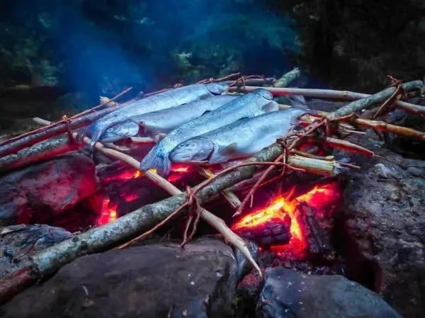 Fische liegen auf einem Holzgestell über einem Feuer