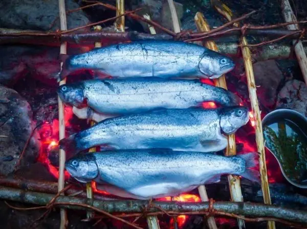 Fische werden über glühenden Kohlen auf einem improvisierten Grill gegart