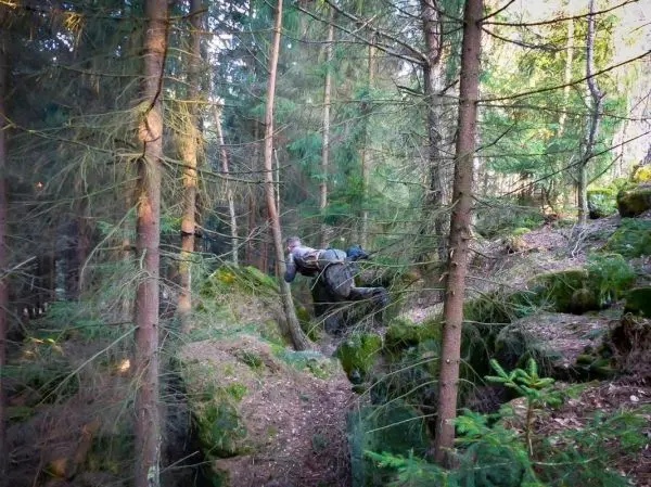 Person hängt an einem Seil zwischen Bäumen im Wald