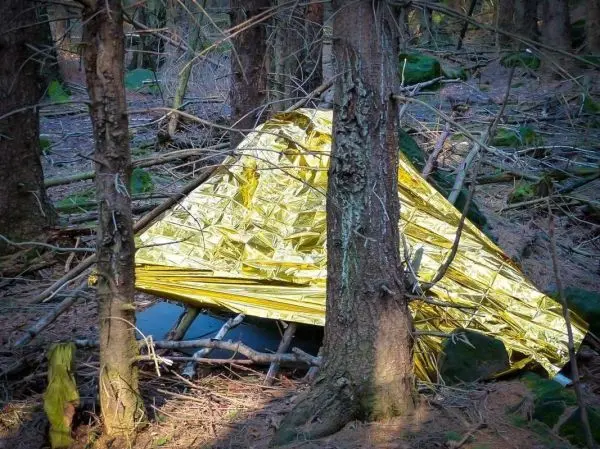 Tarp-Notunterkunft aus reflektierendem Material zwischen Bäumen im Wald