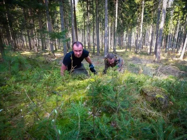 Zwei Personen kriechen durch den Wald zwischen Bäumen und Sträuchern
