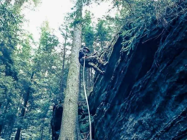 Abseilen an einem Baumstamm mit Seil in bewaldeter Umgebung