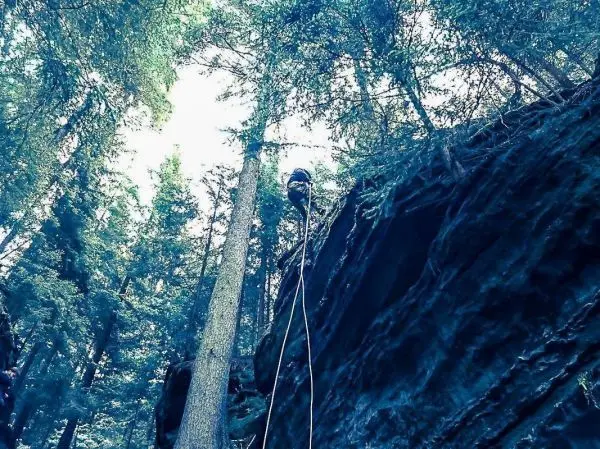 Abseilen an einer Felswand mit Seil und Kletterausrüstung zwischen Bäumen