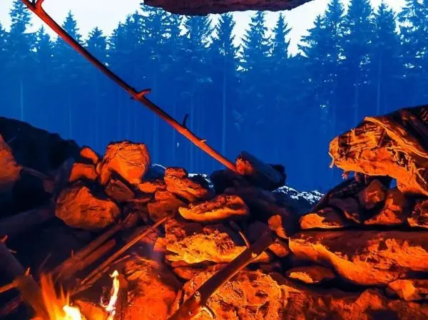 Blick aus einer Höhle auf einen Wald mit Feuerstelle