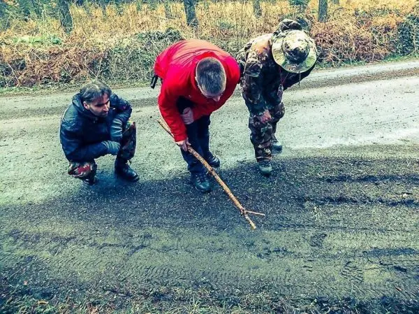 Drei Personen untersuchen mit einem Stock die Spuren auf einem Weg