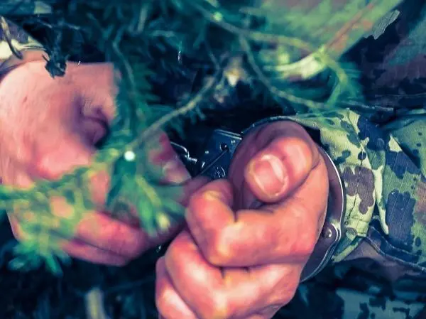 Hände mit Handschellen greifen nach einem Ast