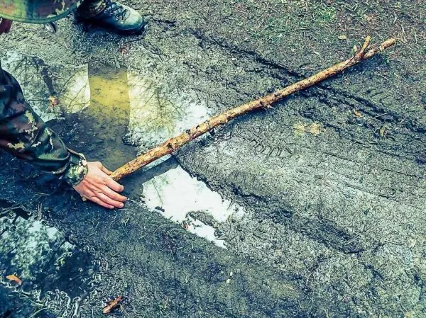 Hand berührt einen Stock, der auf schlammigem Boden liegt