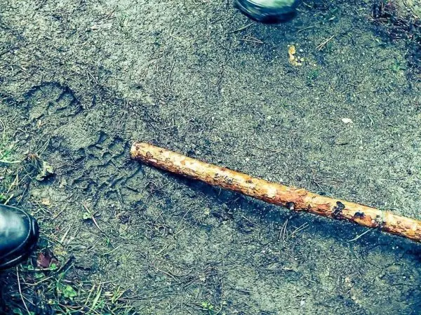 Holzstock liegt auf dem Boden, daneben sind Schuhabdrücke im Erdreich sichtbar