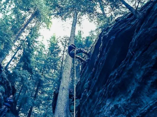 Person klettert an einem Baum mit Seil entlang einer Felswand