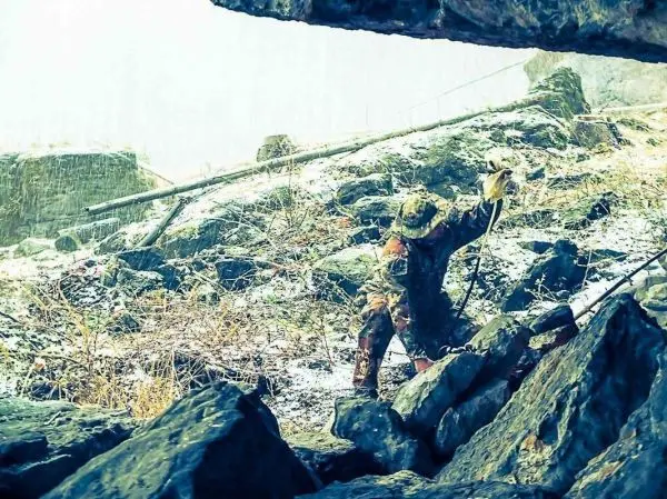 Person mit Stock hebt Stein in felsiger Umgebung