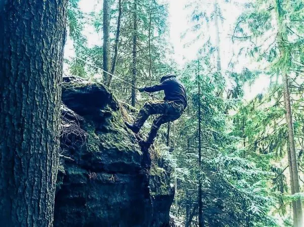 Person seilt an einem Felsen im Wald ab