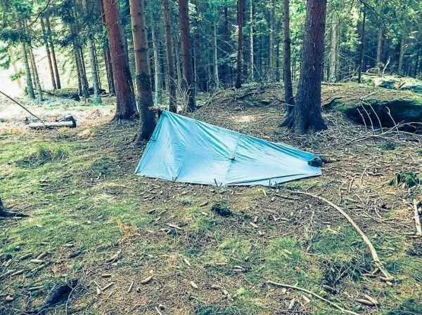 Tarp-Notunterkunft aus blauer Plane zwischen Bäumen im Wald auf dem Boden