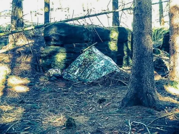 Tarp-Notunterkunft aus reflektierendem Material zwischen Bäumen im Wald
