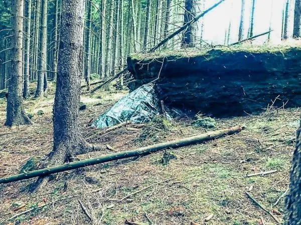 Tarp-Notunterkunft unter einem großen Felsen im Wald, umgeben von Bäumen