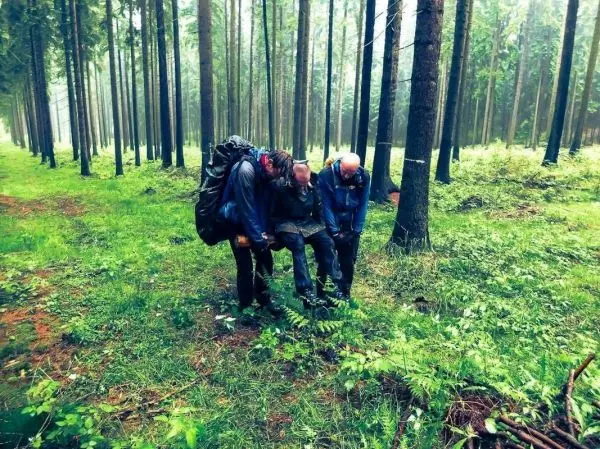 Drei Personen beugen sich über den Boden im Wald und betrachten etwas