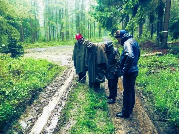 Drei Personen in Regenjacken betrachten den Bodenweg im Wald