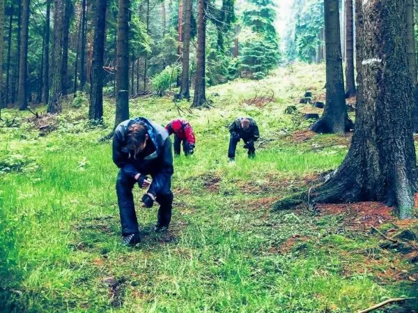 Drei Personen kriechen durch den Wald auf grünem Boden zwischen Bäumen