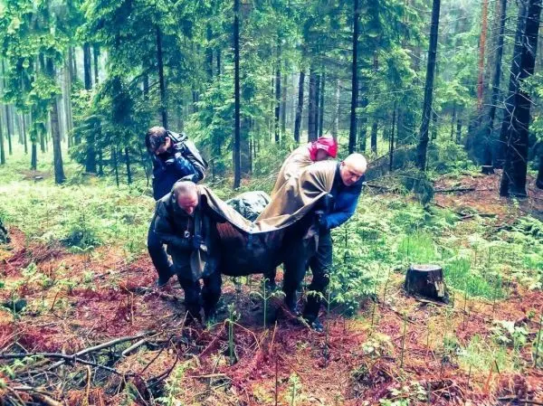Drei Personen tragen eine improvisierte Trage durch den Wald