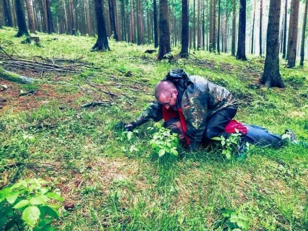 Person kriecht durch das Gras im Wald, um sich zu orientieren