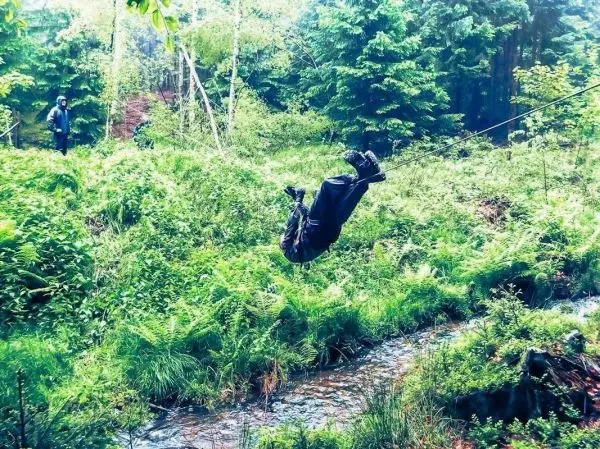 Person schwingt an Seil über einen kleinen Bach im Wald