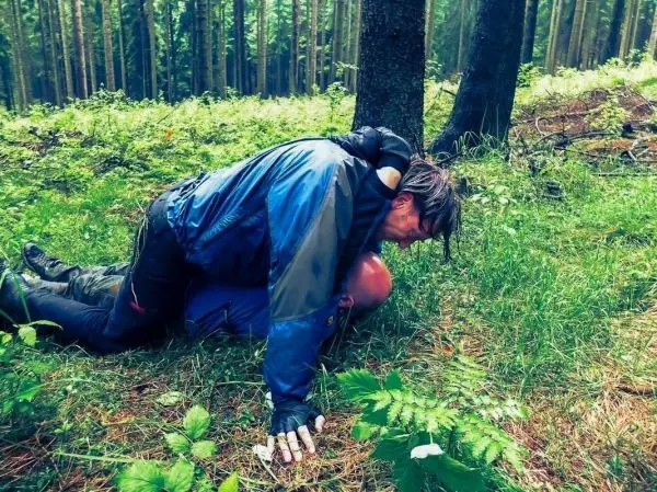 Person übt eine Kontrolle im Wald auf dem Boden aus