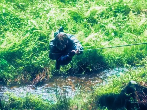 Seilquerung über einen kleinen Bach mit Gras und Farn im Hintergrund