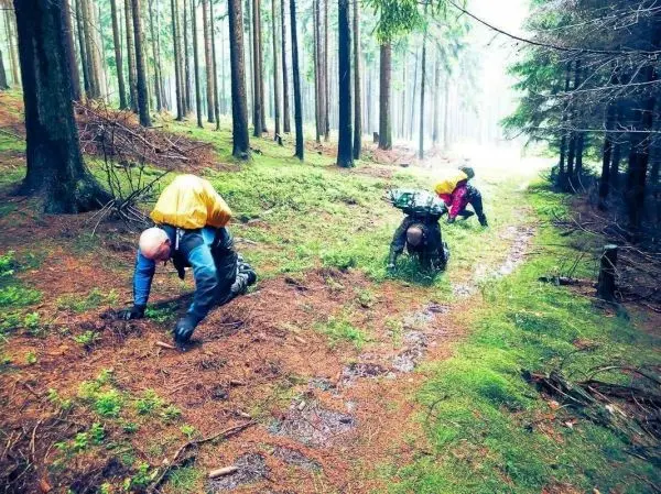 Teilnehmer kriechen auf dem Waldboden zwischen Bäumen und Moos