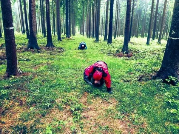 Zwei Personen kriechen durch einen Wald auf einer grasbewachsenen Fläche