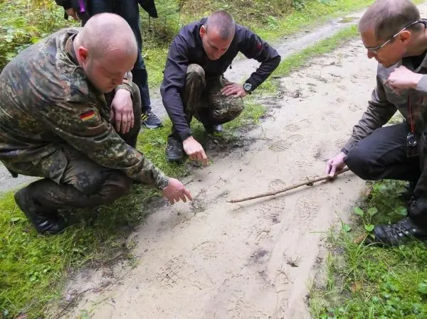 Drei Personen untersuchen Fußabdrücke im Sand und nutzen einen Stock zur Analyse