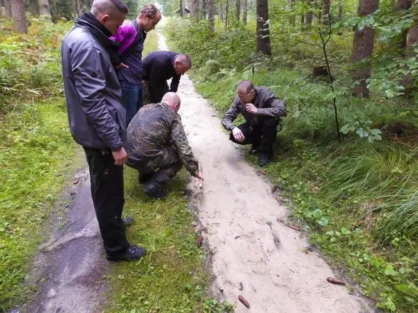 Gruppe von Personen untersucht den Boden auf einem Waldweg beim Überlebenstraining