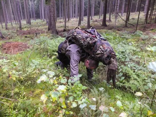 Person mit Rucksack beugt sich über den Boden im Wald