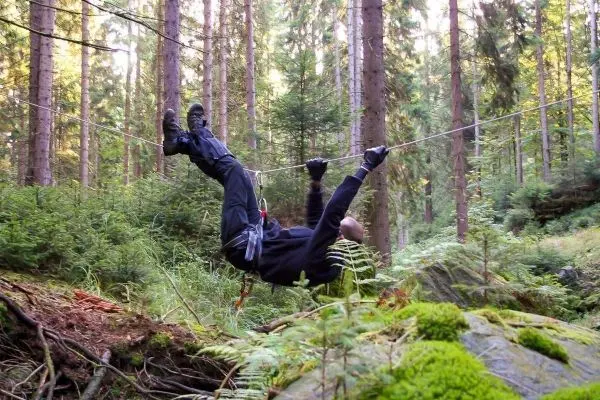 Person schwingt an Seil zwischen Bäumen im Wald