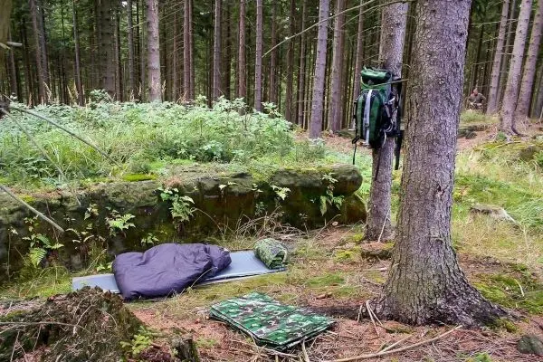 Schlafsack und Isomatte liegen auf dem Waldboden neben einem Rucksack an einem Baum