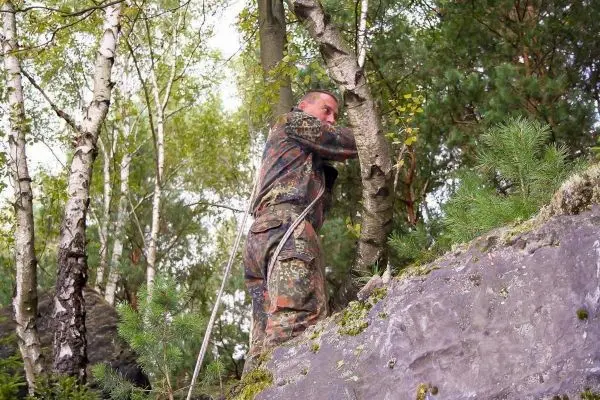 Seilquerung an einem Baumstamm in bewaldeter Umgebung