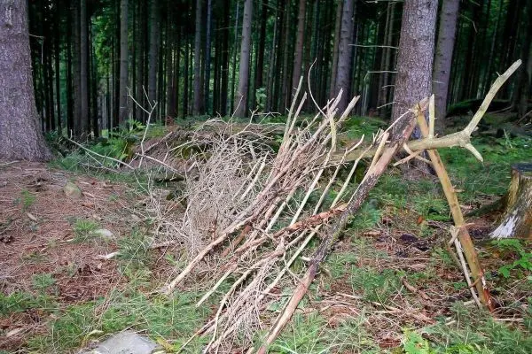 Selbstgebaute Tarp-Notunterkunft aus Ästen und Zweigen im Wald