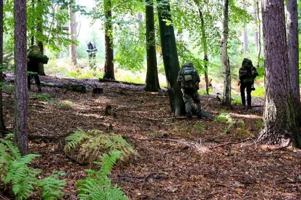 Vier Personen mit Rucksäcken bewegen sich durch einen Wald mit Laub und Farnen