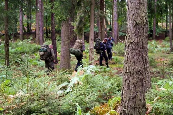Vier Personen mit Rucksäcken gehen durch einen Wald mit Farnen