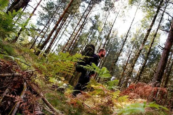 Wanderer mit Rucksack durchquert bewaldetes Gelände mit Farnen und Bäumen