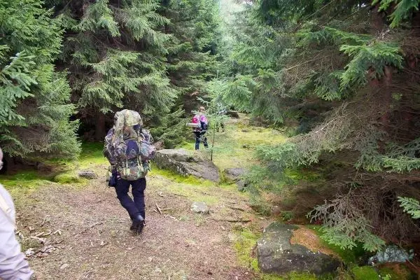 Wanderer mit Rucksack geht durch bewaldetes Gelände mit Steinen und Moos